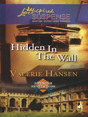 cover image of Hidden in the Wall